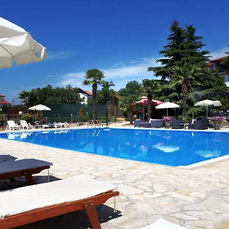 Gloria 3* Kukci