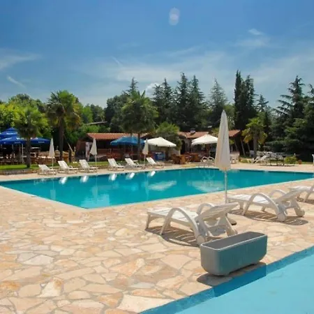 Gloria 3* Kukci